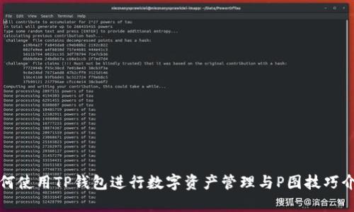 如何使用TP钱包进行数字资产管理与P图技巧介绍