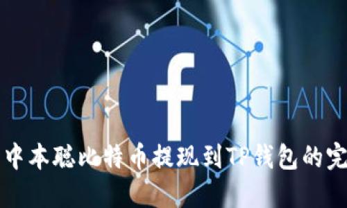 如何将中本聪比特币提现到TP钱包的完整指南