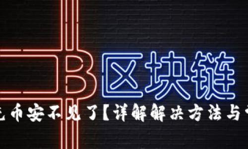 TP钱包充币安不见了？详解解决方法与常见问题