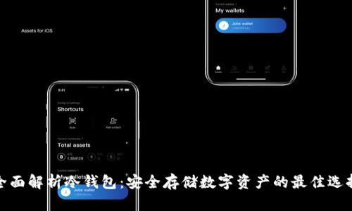 全面解析冷钱包：安全存储数字资产的最佳选择