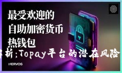 深入解析：Topay平台的潜在风险与陷阱