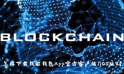 怎样下载钱能钱包App官方客户端（iOS版）？