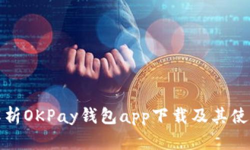 全面解析OKPay钱包app下载及其使用攻略