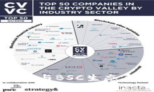深入了解TP钱包与BSC生态系统的无缝结合