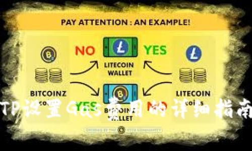 TP设置Gas费用的详细指南